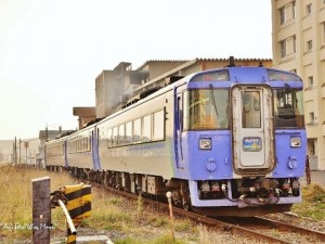 sarobetsu1