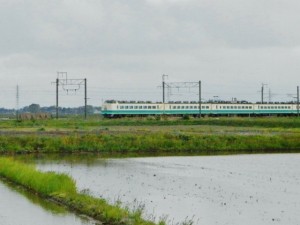 田植え期の鶴岡市内で特急いなほ
