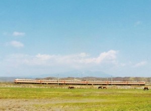 大地を行く特急ライラック