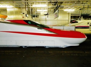 E6系・Z14編成の横顔