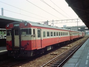 キハ46・急行らいでん