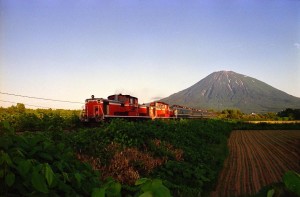 niseko-youtei