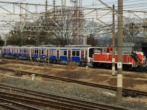 IMG_3126 (480x360)