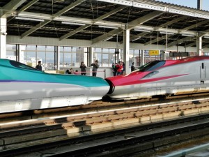 早朝でもギャラリーが思い思いに撮影