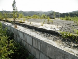 列車が二度と通らないことが決まった志津川駅
