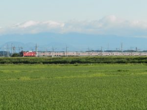 田尻駅方面からやってきたカシオペア紀行