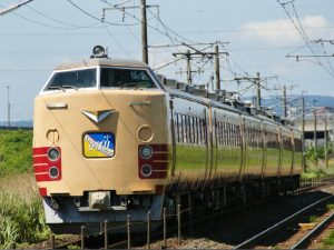 485系ラストラン・特急ひばり号