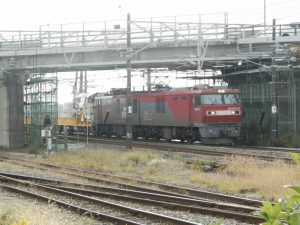 金太郎とキヤE195系