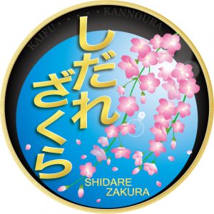 阿佐海岸鉄道・お花見列車ヘッドマーク