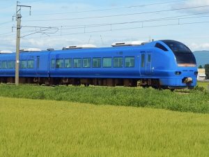 瑠璃色の特急いなほ
