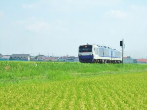 田園風景のクルージングトレイン
