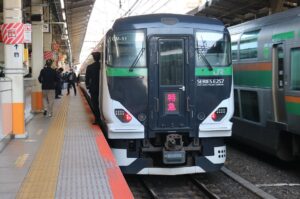臨時特急鎌倉号・E257系