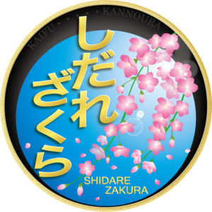 阿佐海岸鉄道・お花見列車ヘッドマーク