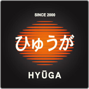 特急ひゅうが貫通型ヘッドマーク