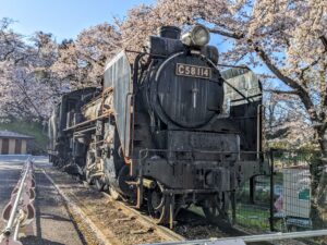 C58114と城山公園の桜