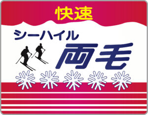 快速シーハイル両毛号のヘッドマーク?