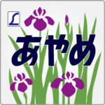 特急あやめ号貫通型ヘッドマーク